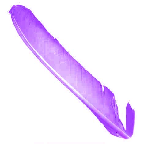 Индюшиные перья Hareline Turkey Biot Quills Purple