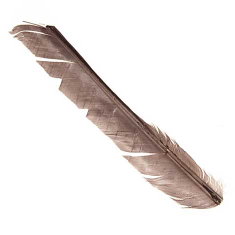 Индюшиные перья Hareline Turkey Biot Quills Gray