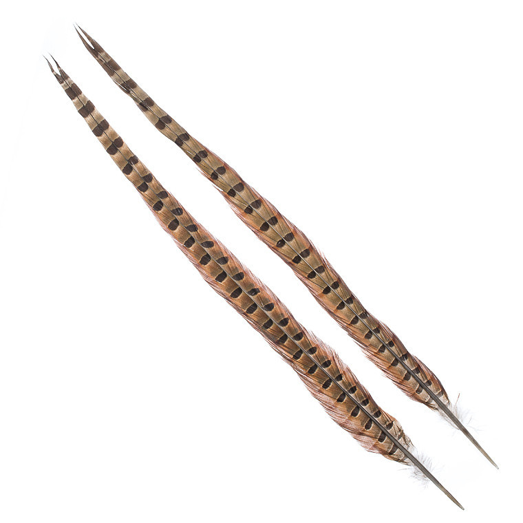 Перья фазана Hareline Ringneck Pheasant Tail Pair Natural