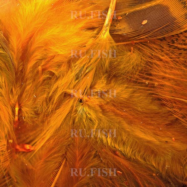 Перья куропатки Hareline Hungarian Partridge Feathers Sunburst Yellow