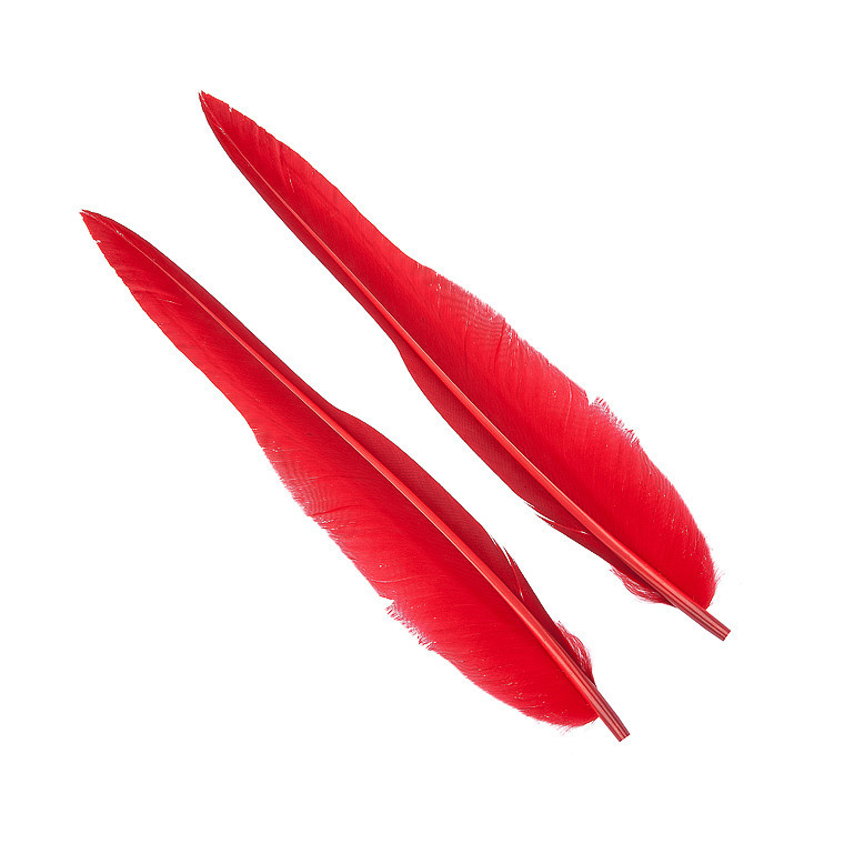 Перья гусиные Wapsi Goose Quills Red