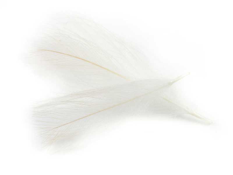 Перья Hends CDC-Feathers 05 Natural Beige