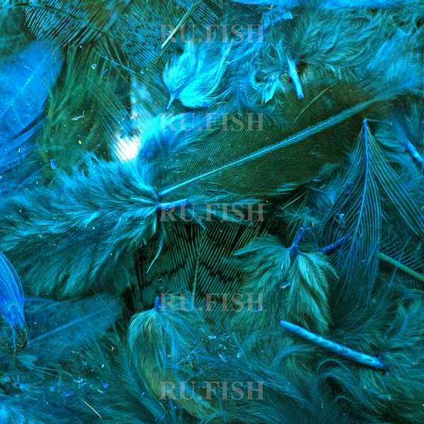 Перья куропатки Hareline Hungarian Partridge Feathers Fl.Blue