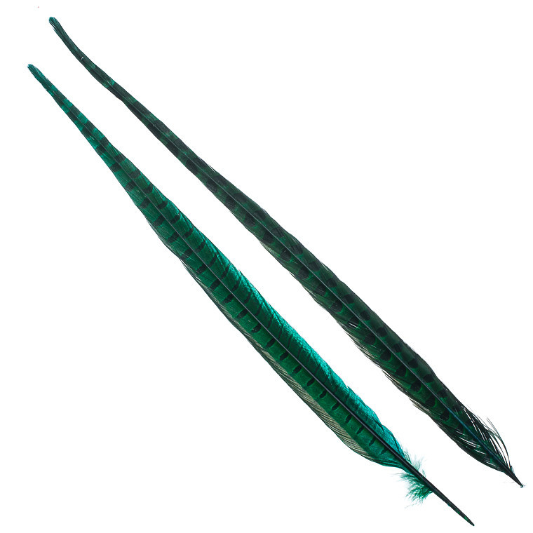 Перья фазана Hareline Ringneck Pheasant Tail Pair Green