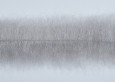 Даббинговая нить EP Shrimp Dub Brush Gray