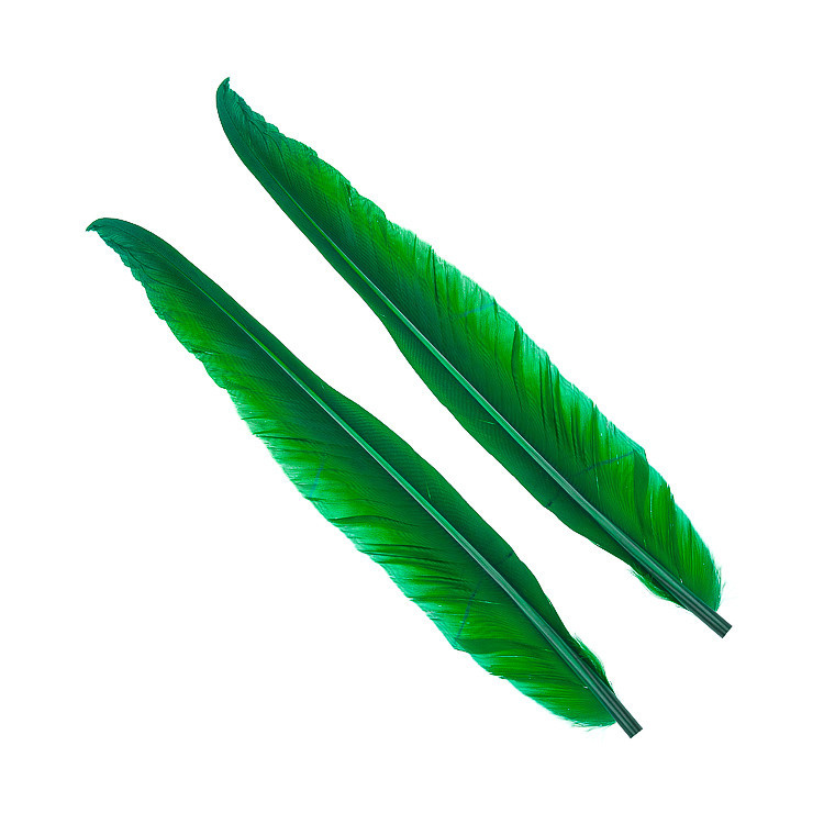 Перья гусиные Wapsi Goose Quills Green