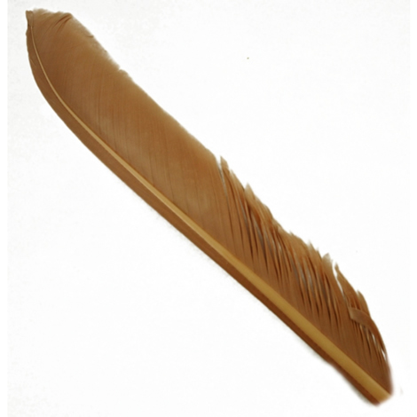 Индюшиные перья Hareline Turkey Biot Quills Gray Olive