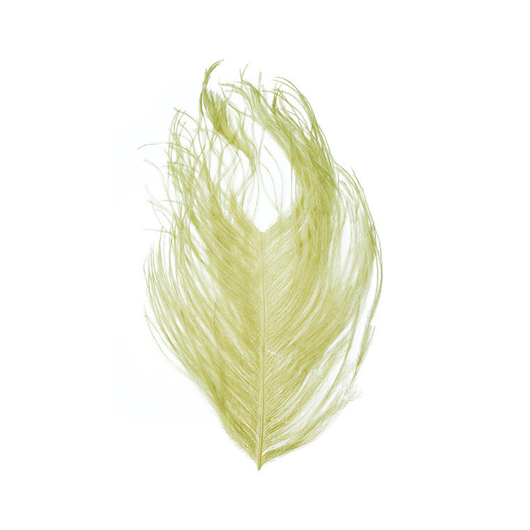 Перья страуса WAPSI Ostrich Plumes Pale Olive