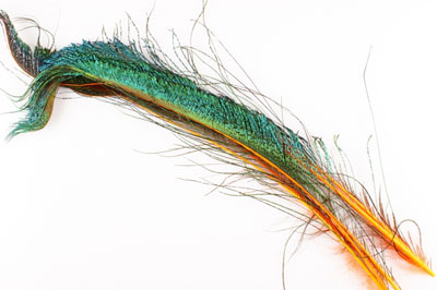 Перья павлина WAPSI Peacock Swords Orange