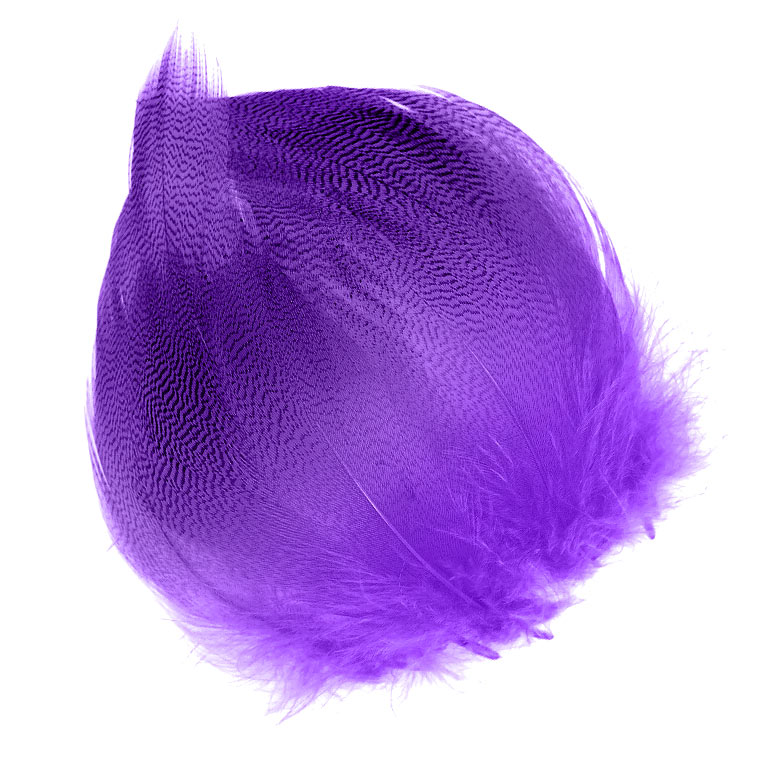 Грудные перья селезня WAPSI Mallard Barred Flank Purple