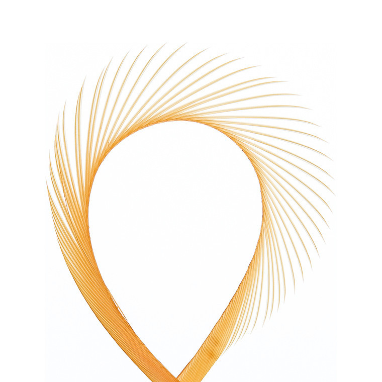 Биоты гуся WAPSI Goose Biots Amber