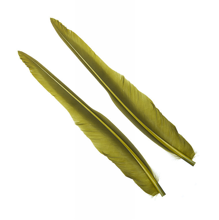 Перья гусиные Wapsi Goose Quills Olive
