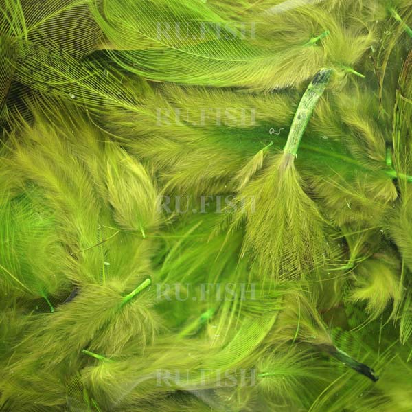 Перья куропатки Hareline Hungarian Partridge Feathers Chartreuse