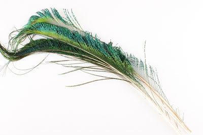 Перья павлина WAPSI Peacock Swords Natural