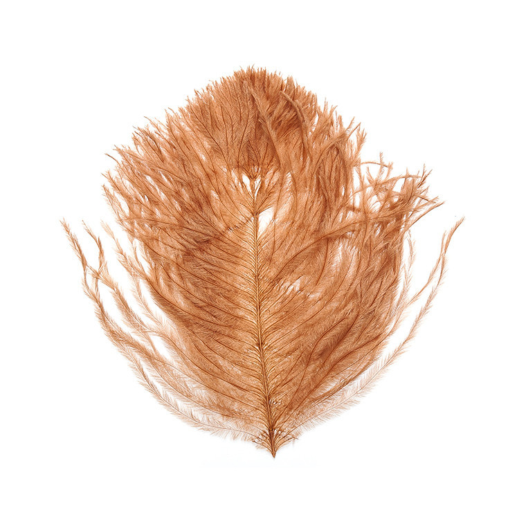 Перья страуса WAPSI Ostrich Plumes Ginger