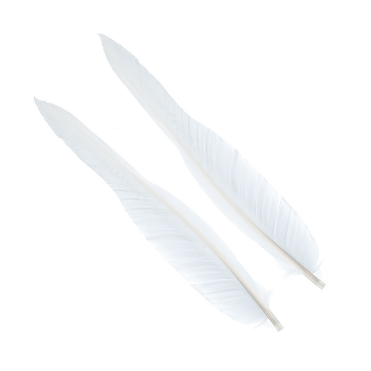 Перья гусиные Wapsi Goose Quills White