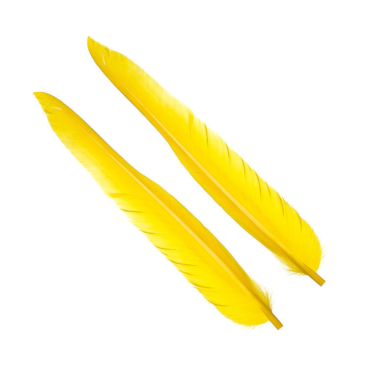 Перья гусиные Wapsi Goose Quills Yellow