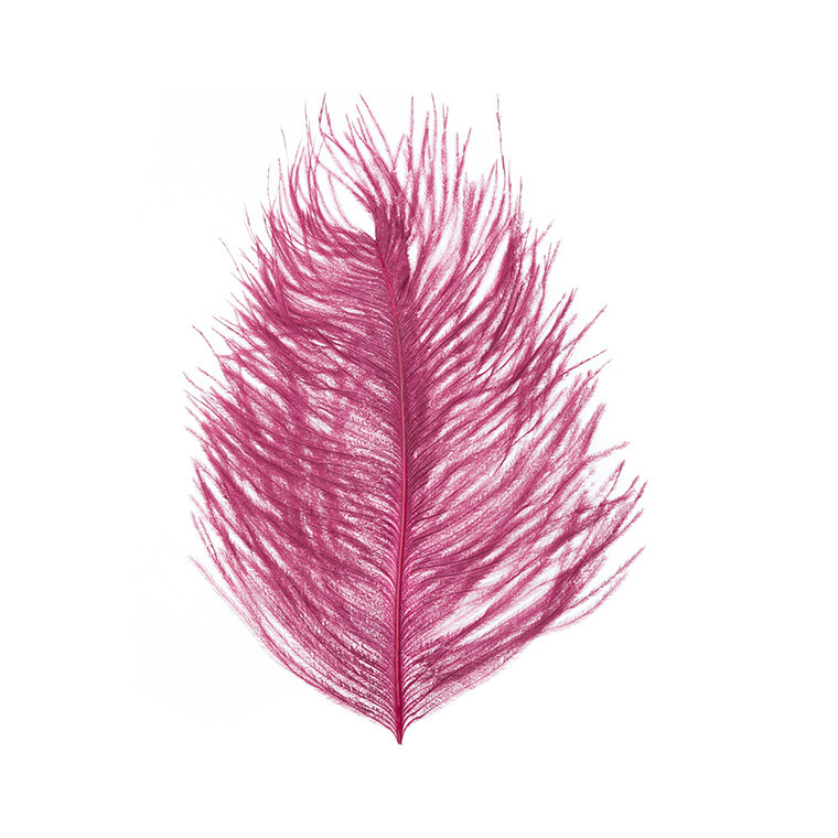 Перья страуса WAPSI Ostrich Plumes Wine
