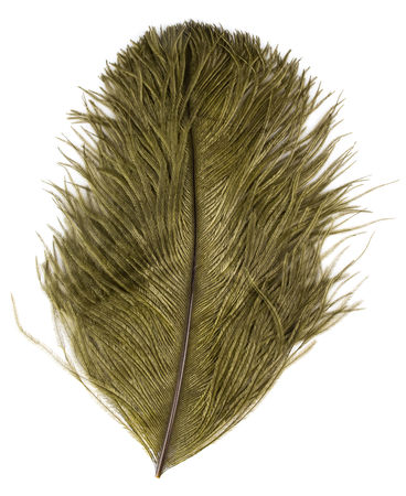 Перья страуса WAPSI Ostrich Mini Plumes Olive