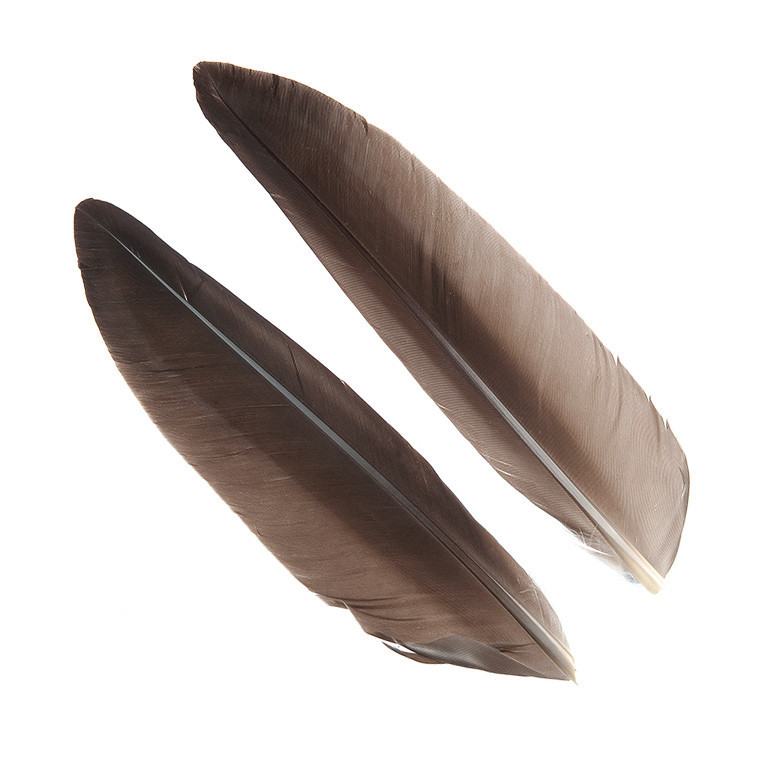 Перья гусиные Wapsi Goose Quills Natural Gray
