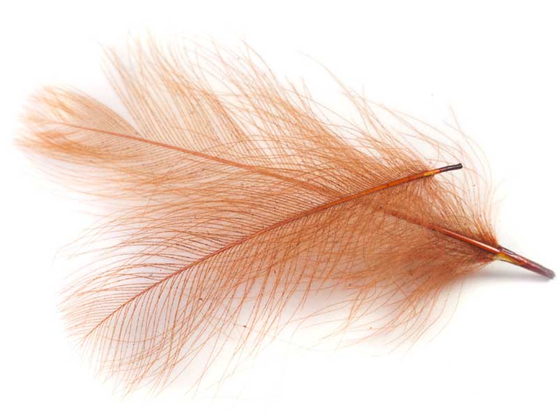 Перья Hends CDC-Feathers 11 Cinnamon