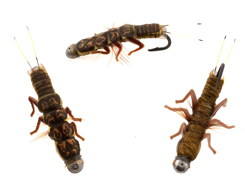 Нимфа Переколомина #08 #2 Brown