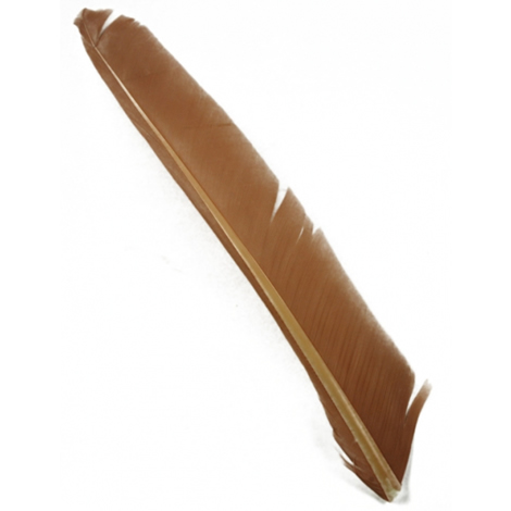 Индюшиные перья Hareline Turkey Biot Quills Dark Tan