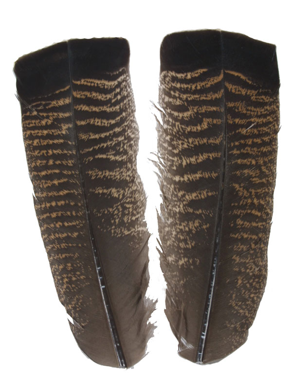 Индюшиные перья Hareline Cinnamon Turkey Tail Feathers