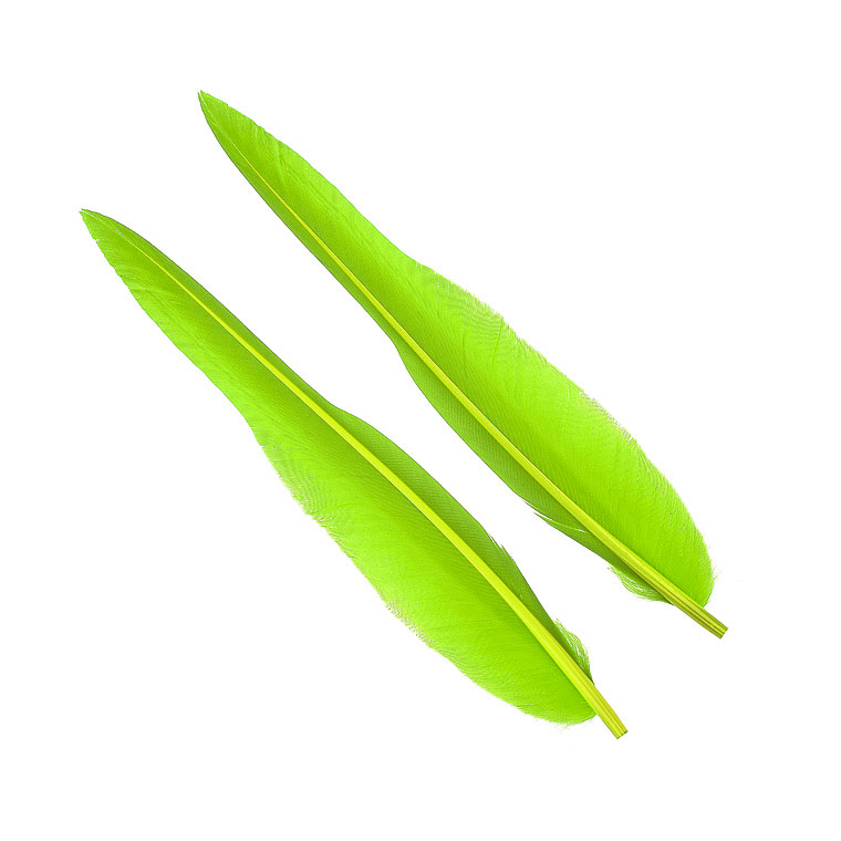 Перья гусиные Wapsi Goose Quills Green Highlander