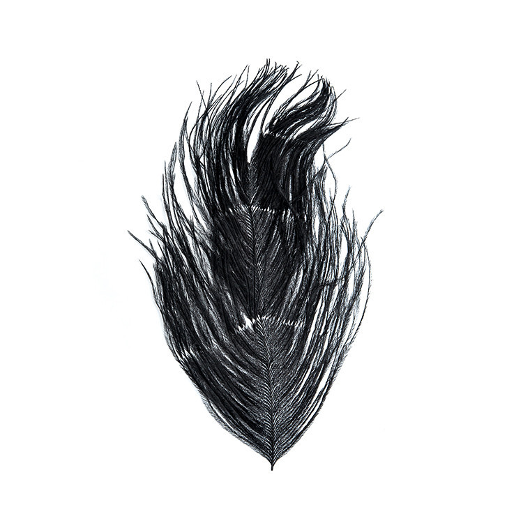 Перья страуса WAPSI Ostrich Plumes Black