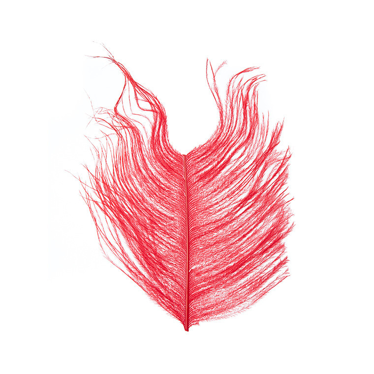 Перья страуса WAPSI Ostrich Plumes Red