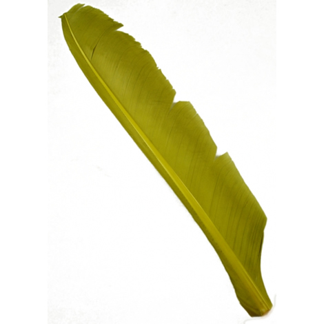 Индюшиные перья Hareline Turkey Biot Quills Light Olive