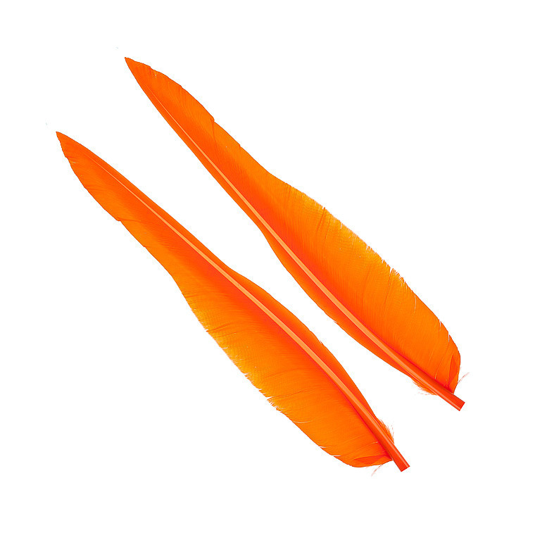 Перья гусиные Wapsi Goose Quills Orange