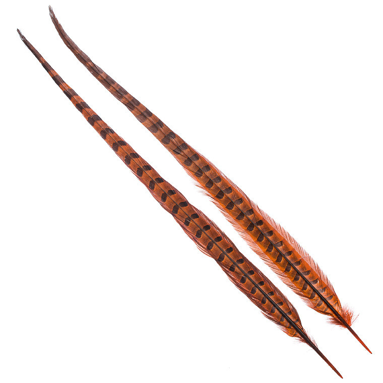 Перья фазана Hareline Ringneck Pheasant Tail Pair Orange