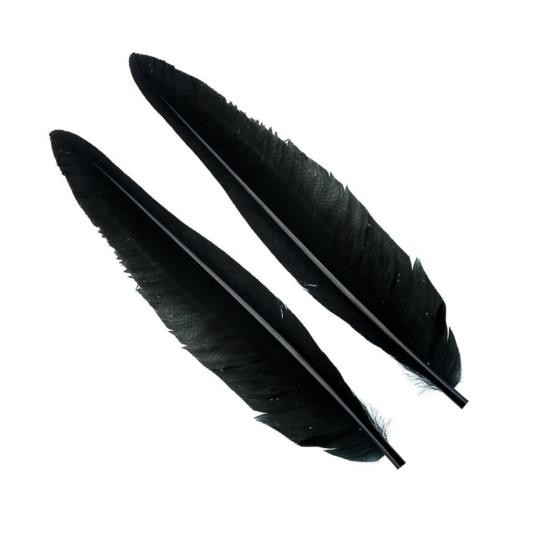 Перья гусиные Wapsi Goose Quills Black
