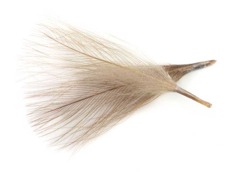 Перья Hends CDC-Feathers 04 Beige