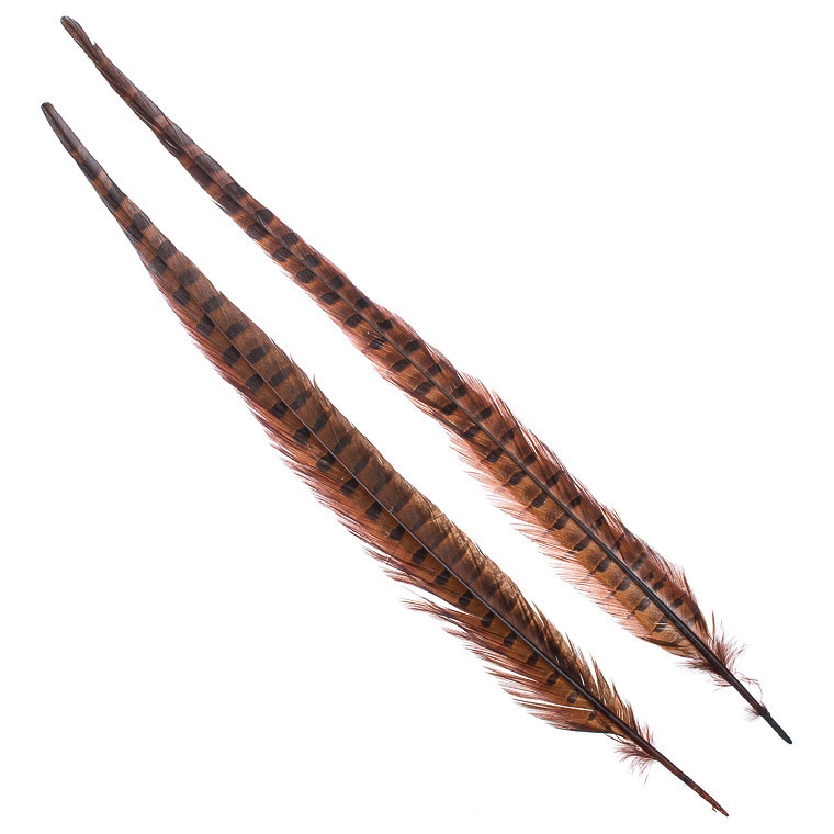 Перья фазана Hareline Ringneck Pheasant Tail Pair Brown