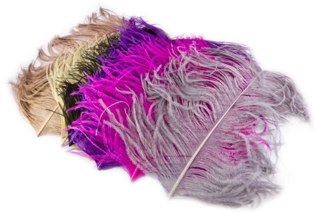 Перья страуса WAPSI Ostrich Plumes
