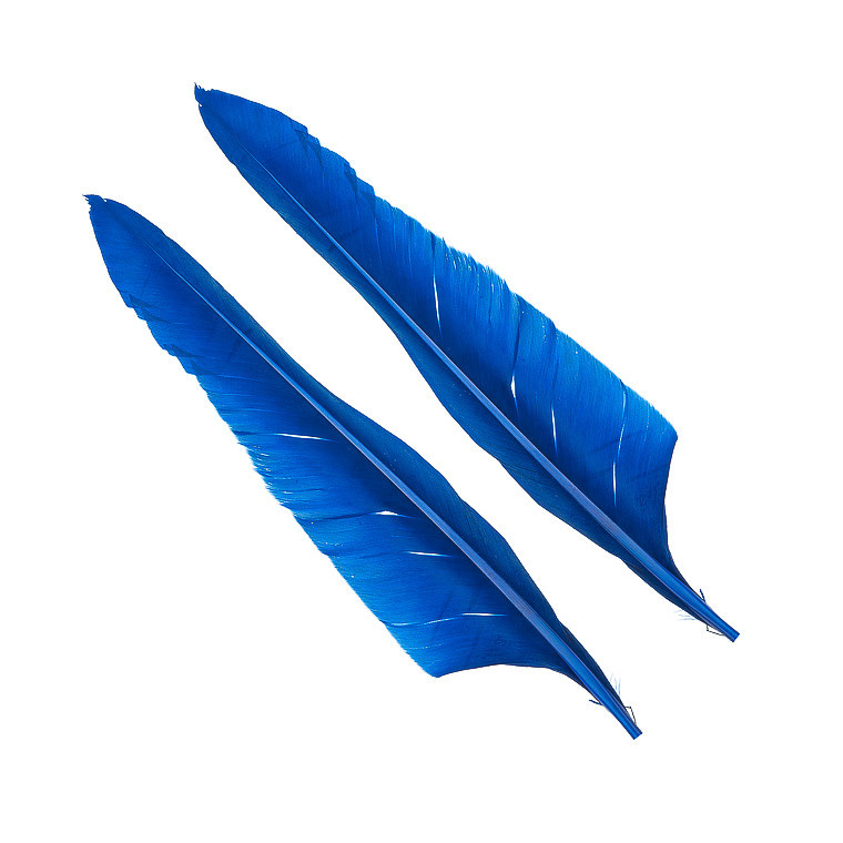 Перья гусиные Wapsi Goose Quills Blue