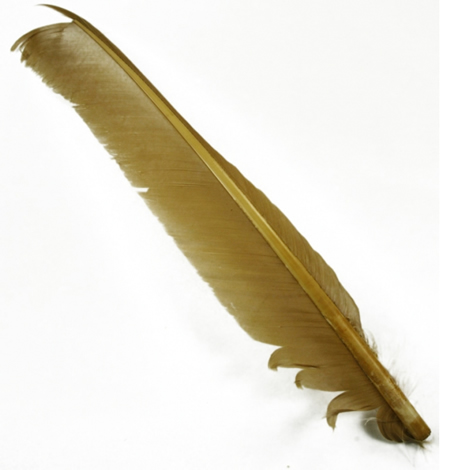 Индюшиные перья Hareline Turkey Biot Quills Callibaetis