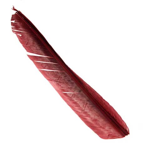 Индюшиные перья Hareline Turkey Biot Quills Red