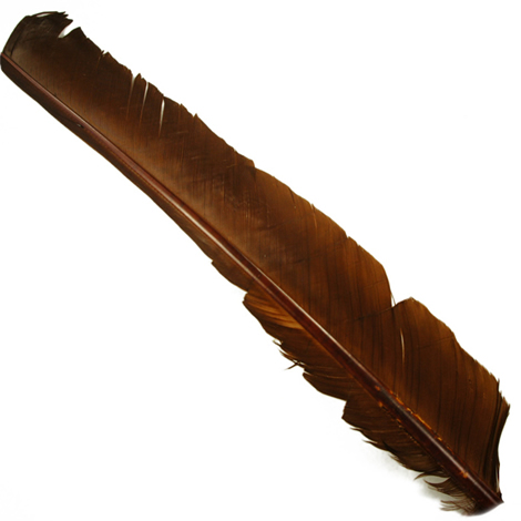 Индюшиные перья Hareline Turkey Biot Quills Brown