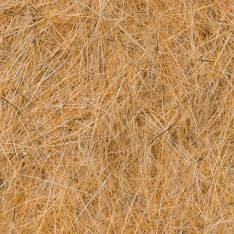 Даббинг WAPSI Natural Fur Fox Squirrel Belly
