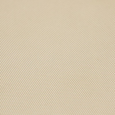 Пленка DS Flyes Dura Skin Tan