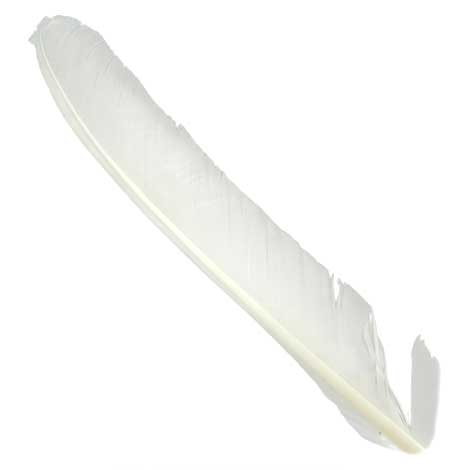 Индюшиные перья Hareline Turkey Biot Quills White