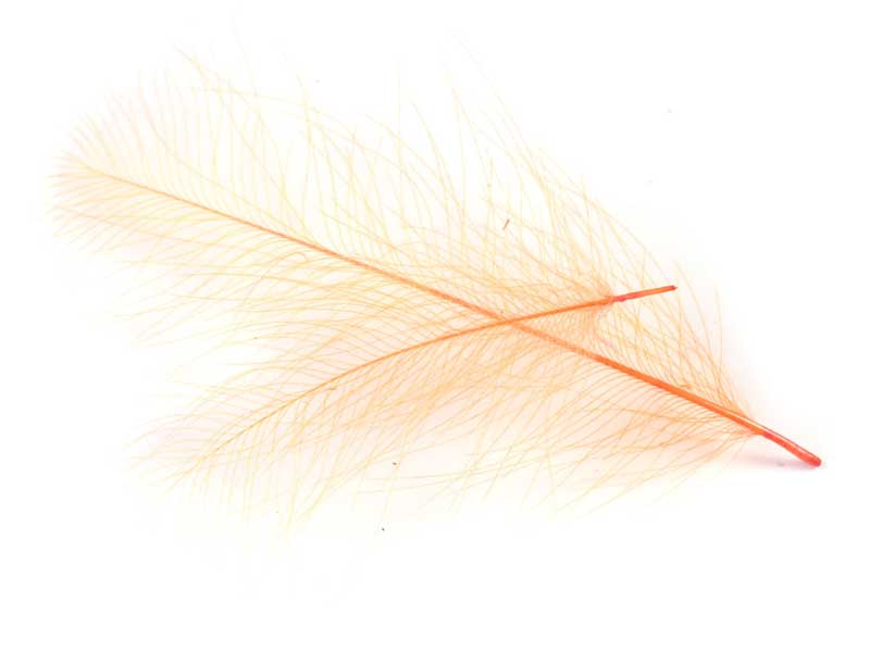 Перья Hends CDC-Feathers 10 Fl.Orange
