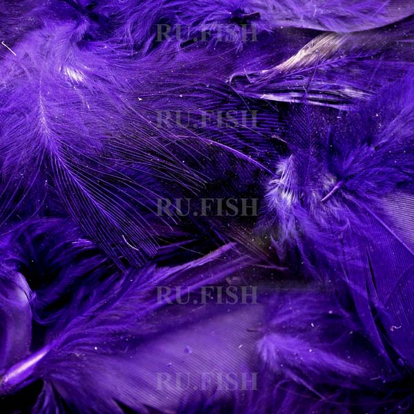 Перья куропатки Hareline Hungarian Partridge Feathers Bright Purple