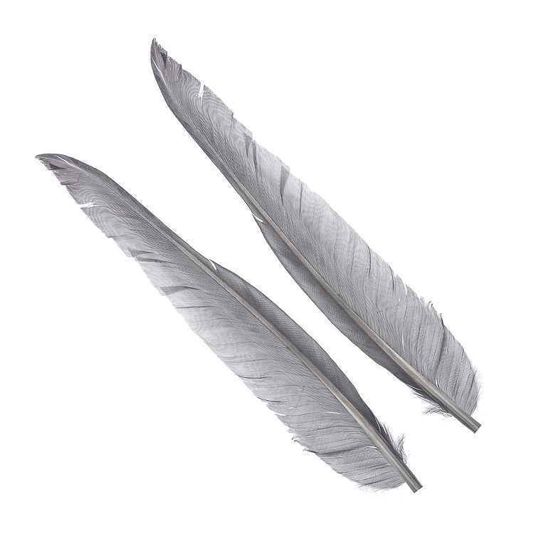 Перья гусиные Wapsi Goose Quills Dyed Gray