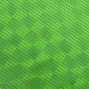 Пленка Hends Cheek 0.8мм. 10 Green Holographic