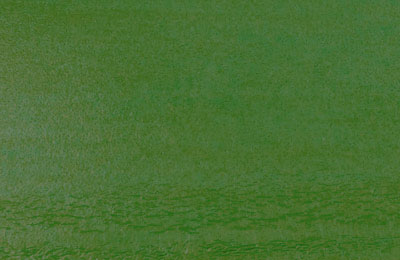 Пенка Wapsi Loco Foam Olive
